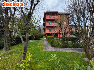 appartamento in vendita a Mirandola