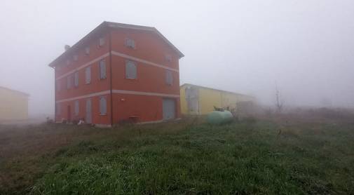 azienda agricola in vendita a Mirandola