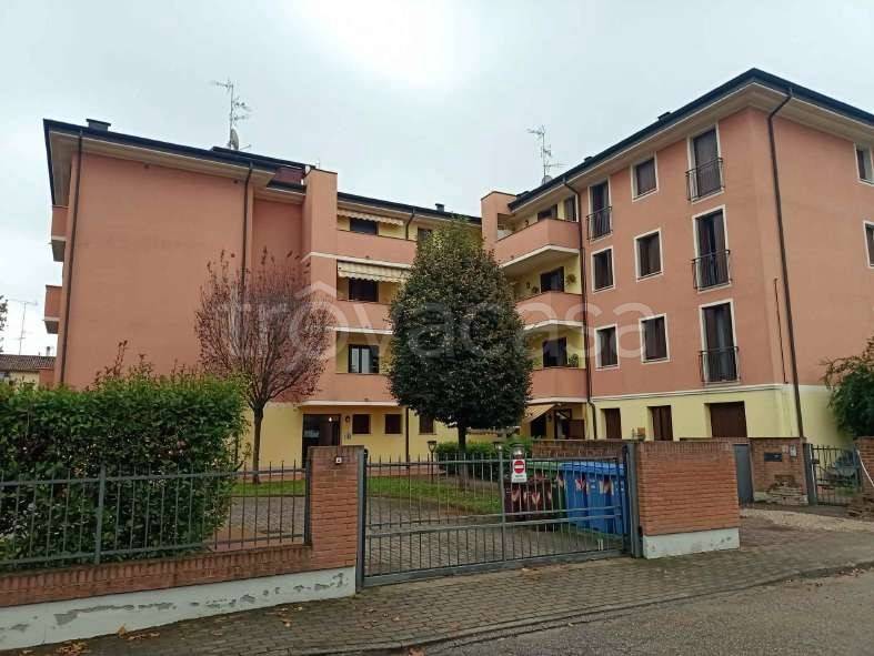 appartamento in vendita a Mirandola
