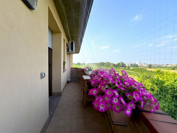 appartamento in vendita a Mirandola in zona Carano