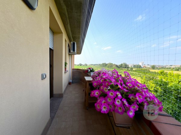 appartamento in vendita a Mirandola in zona Carano
