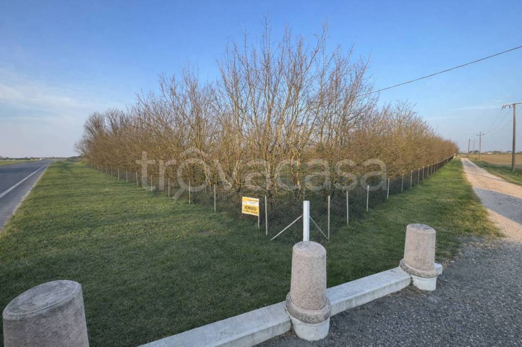 casa indipendente in vendita a Mirandola