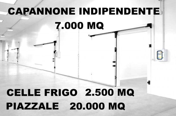 negozio in vendita a Mirandola