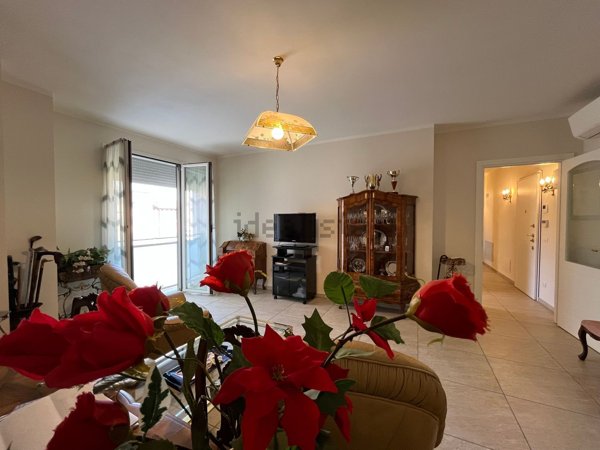 appartamento in vendita a Mirandola