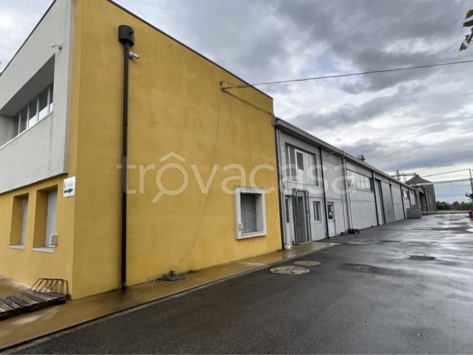 capannone in vendita a Mirandola