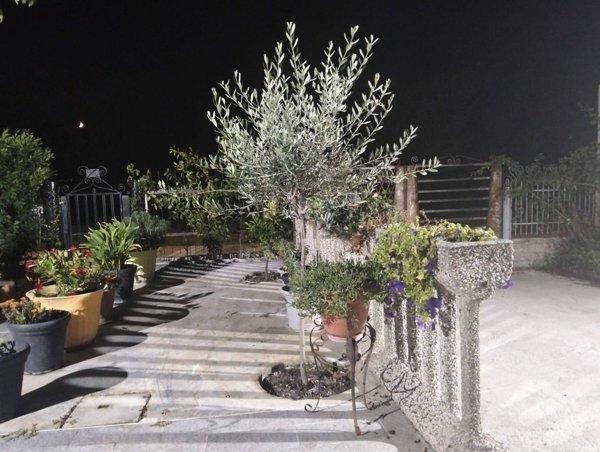 appartamento in vendita a Mirandola