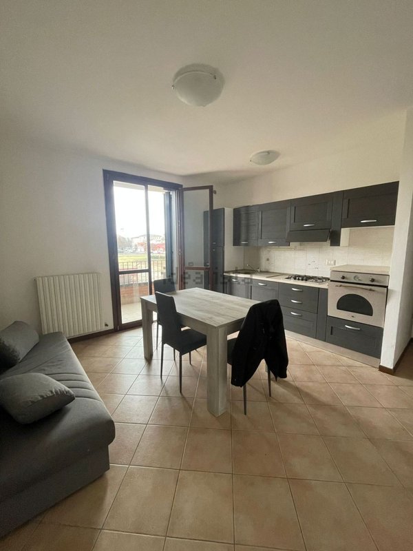 appartamento in vendita a Mirandola