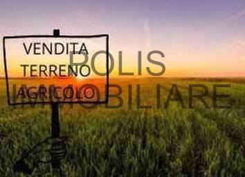 terreno agricolo in vendita a Mirandola