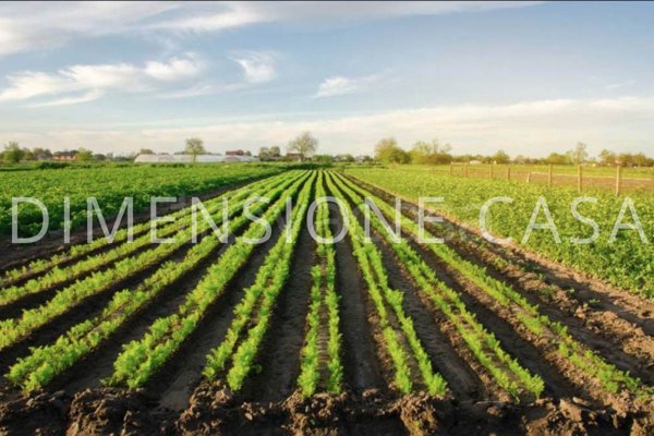 casa indipendente in vendita a Mirandola