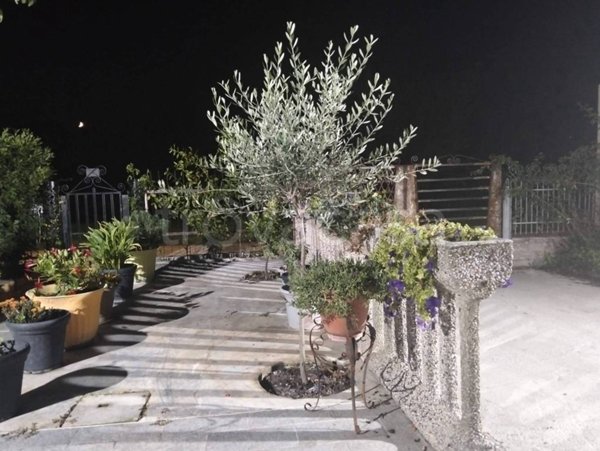 casa indipendente in vendita a Mirandola in zona San Martino Spino
