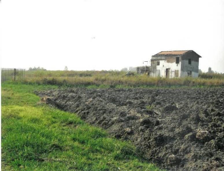 rudere in vendita a Mirandola