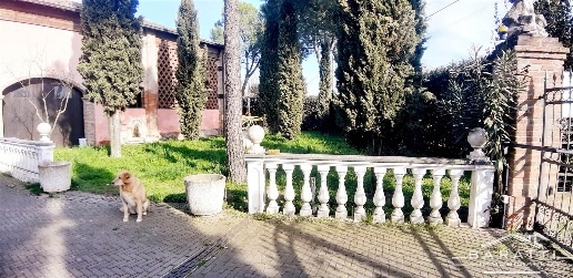 casa indipendente in vendita a Mirandola in zona Cividale