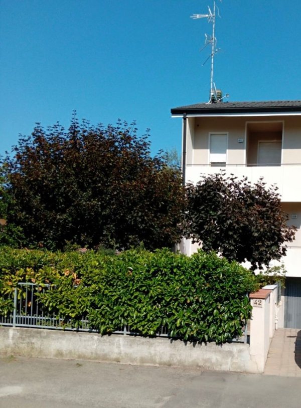 casa indipendente in vendita a Mirandola in zona Cividale