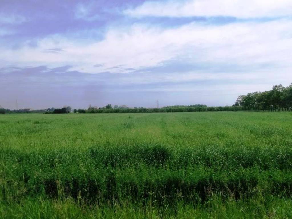 terreno agricolo in vendita a Modena in zona Baggiovara