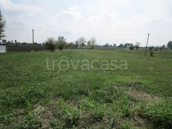terreno edificabile in vendita a Modena in zona Cittanova