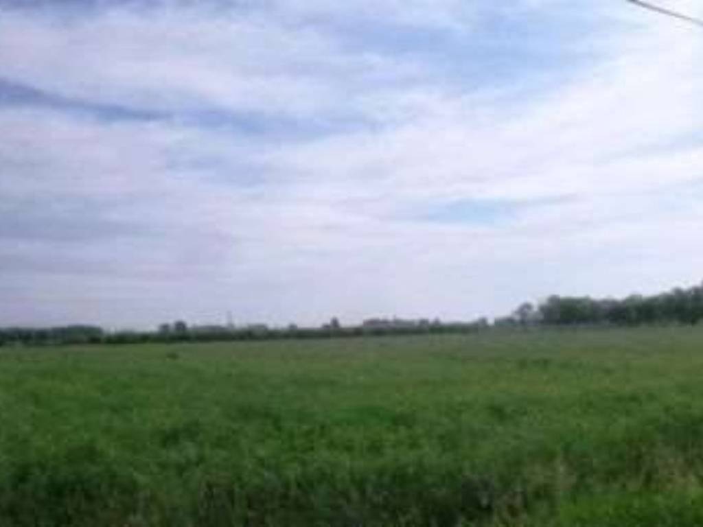 terreno agricolo in vendita a Modena in zona Baggiovara