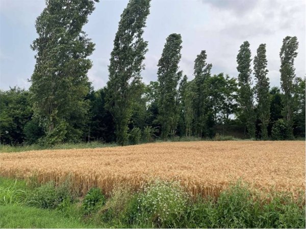 terreno agricolo in vendita a Modena in zona Sant'Agnese