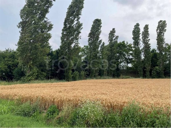 terreno agricolo in vendita a Modena in zona Vaciglio