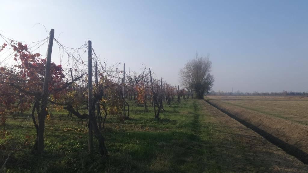 terreno agricolo in vendita a Modena in zona Ganaceto