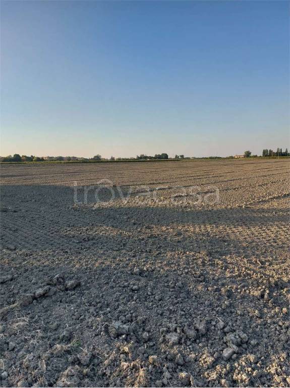 terreno agricolo in vendita a Modena in zona Centro Storico