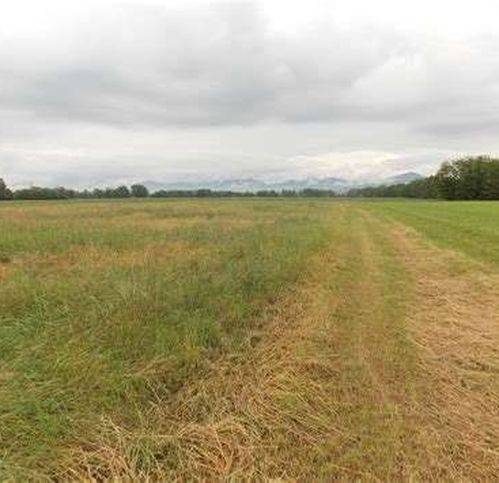 terreno edificabile in vendita a Modena in zona San Lazzaro / Modena Est