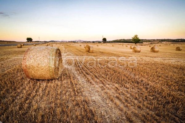 terreno agricolo in vendita a Modena