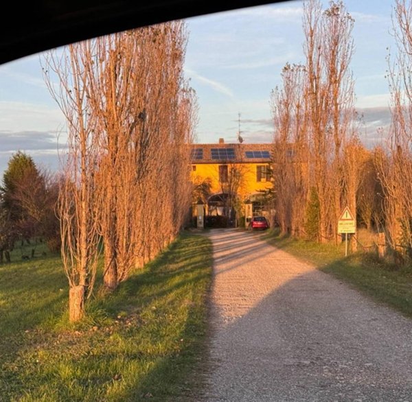 casa indipendente in vendita a Modena in zona Cittanova