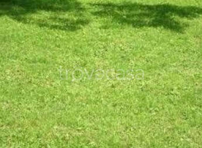 terreno agricolo in vendita a Modena in zona Baggiovara