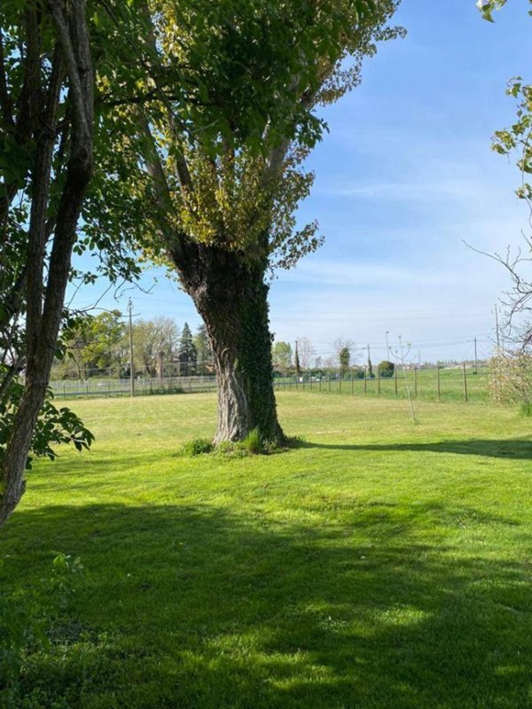 casa indipendente in vendita a Modena in zona Cittanova