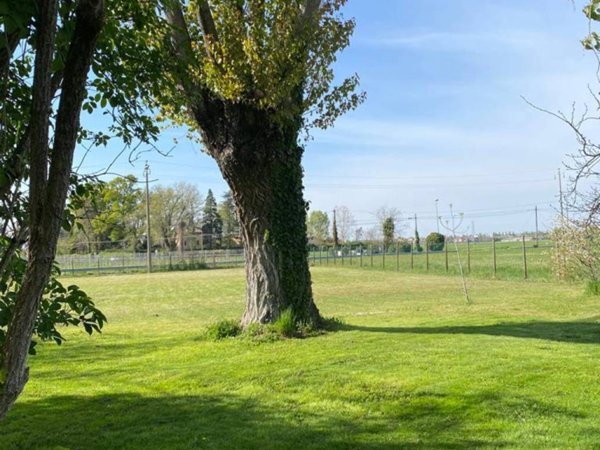 casa indipendente in vendita a Modena in zona Cognento