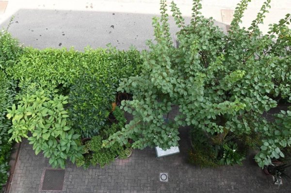 casa indipendente in vendita a Modena