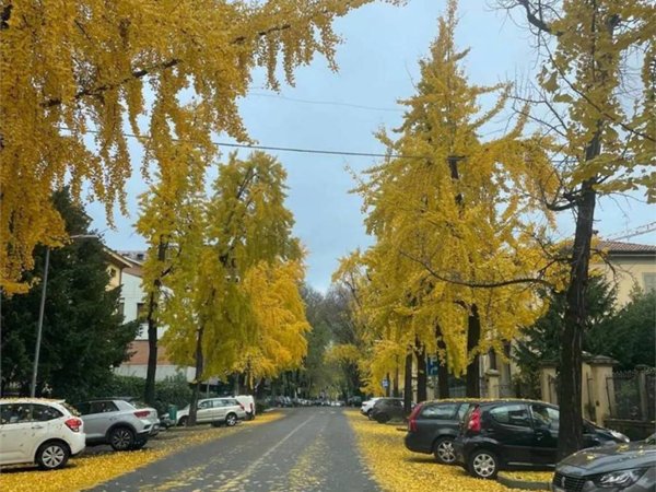 negozio in vendita a Modena in zona San Lazzaro / Modena Est