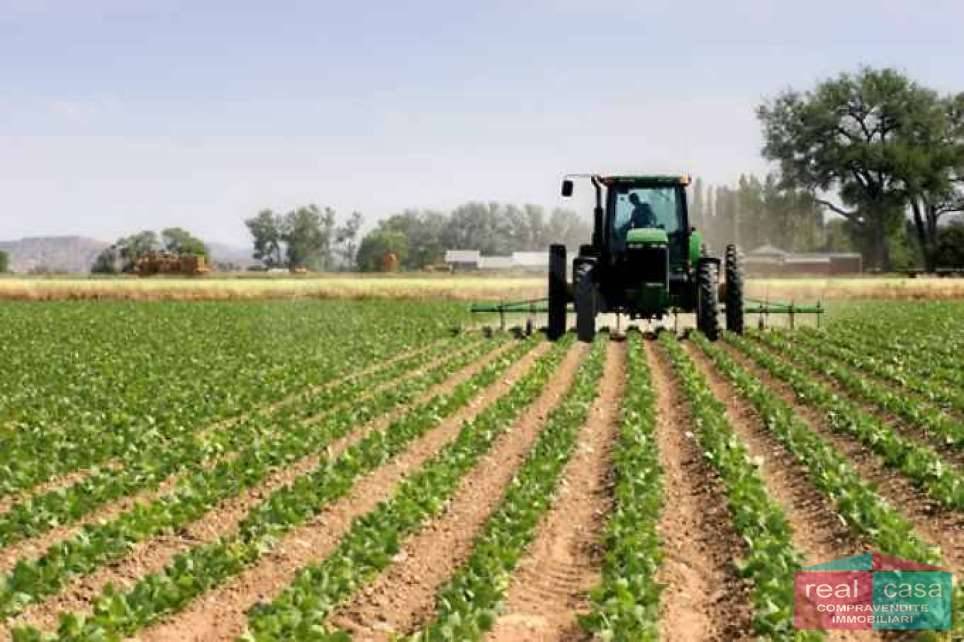 terreno agricolo in vendita a Modena