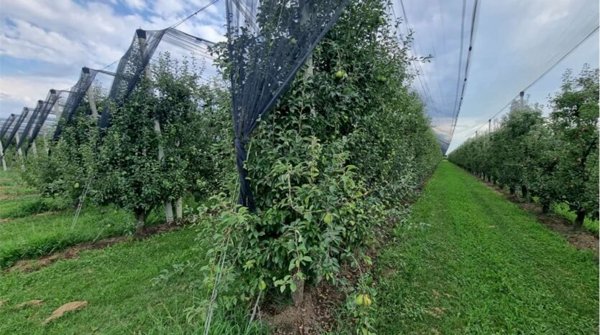 azienda agricola in vendita a Modena