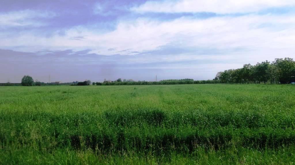 terreno agricolo in vendita a Modena in zona Cognento
