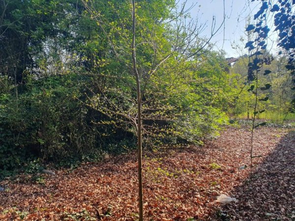 casa indipendente in vendita a Modena in zona Buon Pastore
