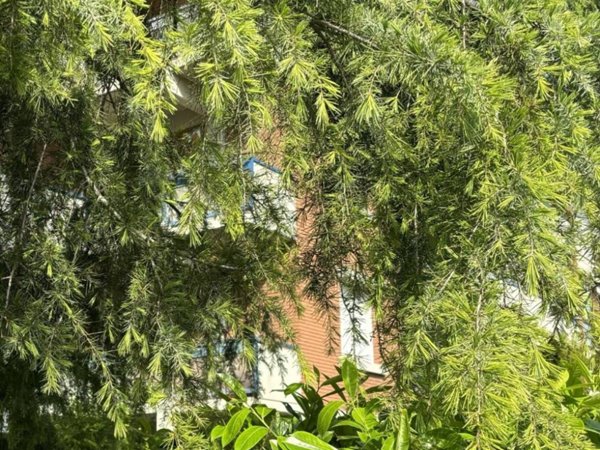 appartamento in vendita a Modena in zona Buon Pastore