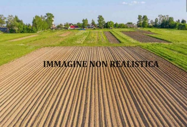 terreno agricolo in vendita a Modena in zona Cognento