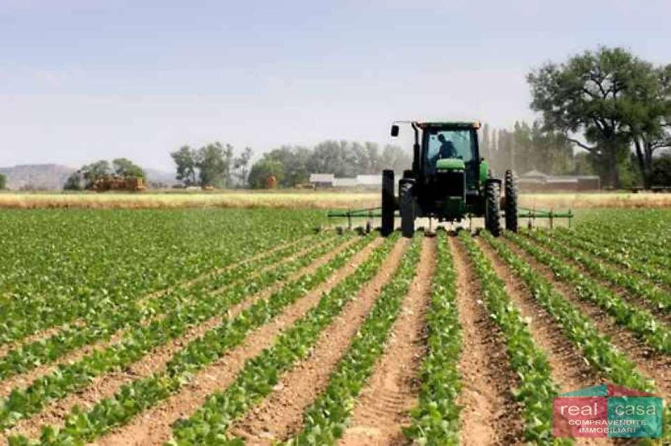 terreno agricolo in vendita a Modena in zona Buon Pastore