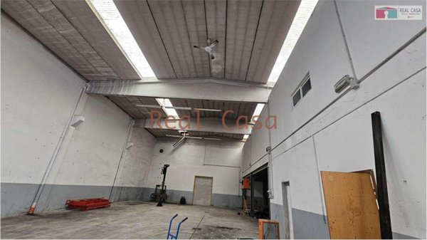 esavano in vendita a Modena