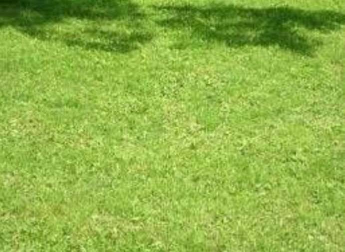 terreno edificabile in vendita a Modena in zona Cognento
