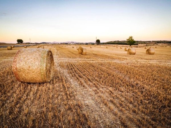 terreno agricolo in vendita a Modena in zona Buon Pastore