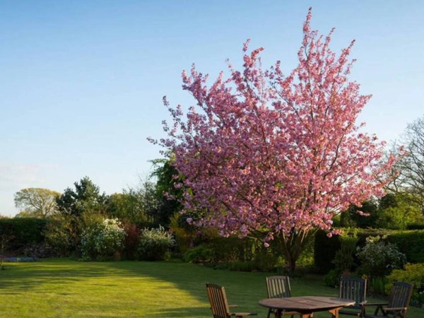 casa indipendente in vendita a Modena in zona Madonnina / Quattro Ville