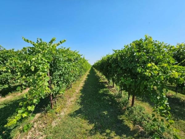 casa indipendente in vendita a Modena in zona San Faustino