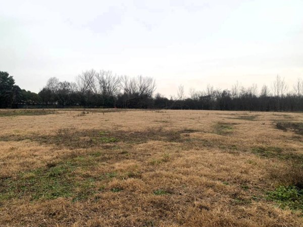 terreno agricolo in vendita a Modena in zona Sant'Agnese