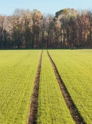 terreno agricolo in vendita a Modena in zona Madonnina / Quattro Ville