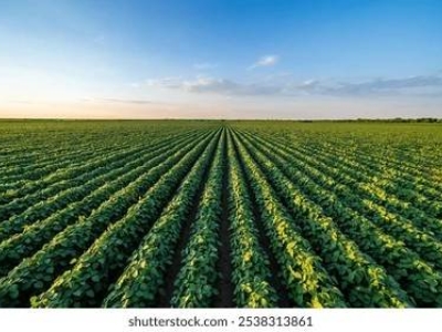 ufficio in vendita a Modena in zona San Lazzaro / Modena Est