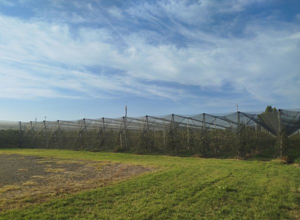 terreno agricolo in vendita a Modena in zona Centro Storico