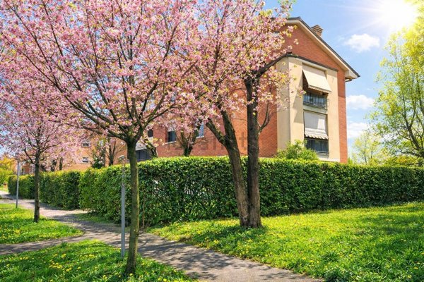 appartamento in vendita a Modena in zona Ganaceto