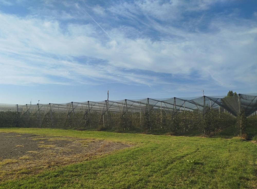 terreno agricolo in vendita a Modena in zona Centro Storico